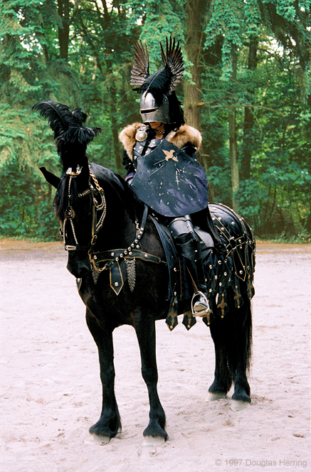 Black Moriah Seattle Knights