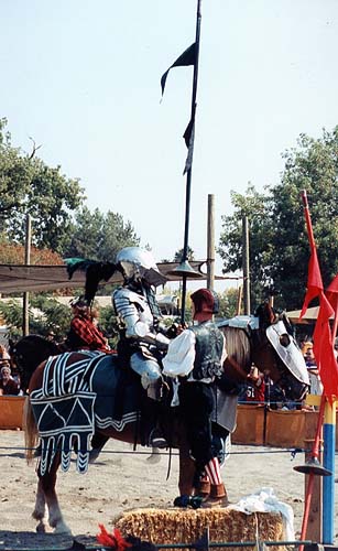 New Riders' Armored Knight - Nor Cal Renaissance Pleasure Faire - Vacaville CA