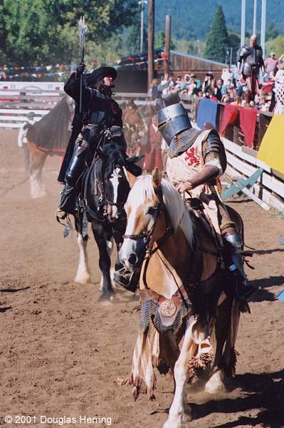 Knights of Avalon at the Shrewsbury Faire in Oregon